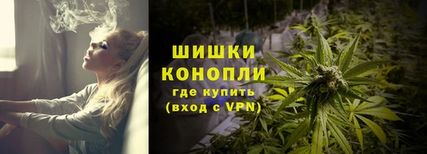 бошки Богданович