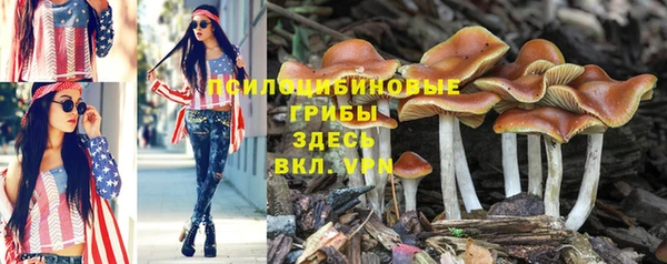 MESCALINE Богородск