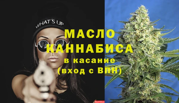 mix Богородицк