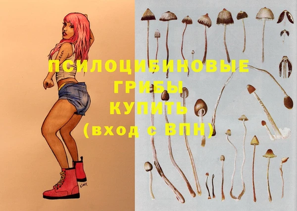 бошки Богданович