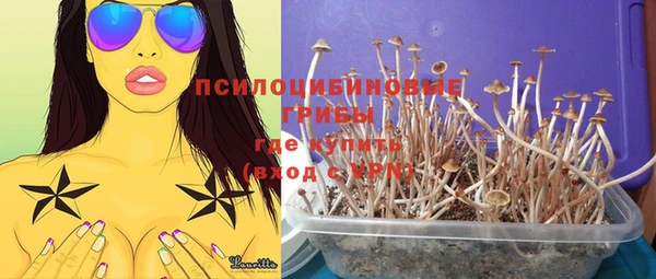 MESCALINE Богородск